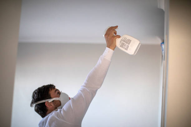 Best Certified Mold Removal  in Albany, TX