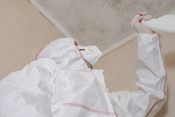 Best Office Mold Removal Services  in Albany, TX